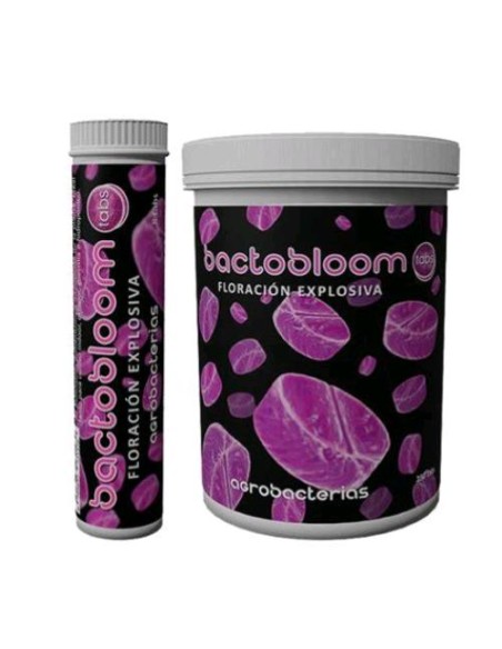 Agrobacterias - Bactobloom - 100 - TABS Agrobacterias - Bactobloom - 100 - TABS