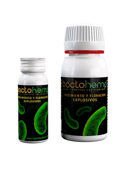 Agrobacterias - Bactohemp - 10g - Estratti Umici