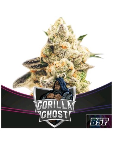 BSF - Gorilla Ghost - fem - 2 semi