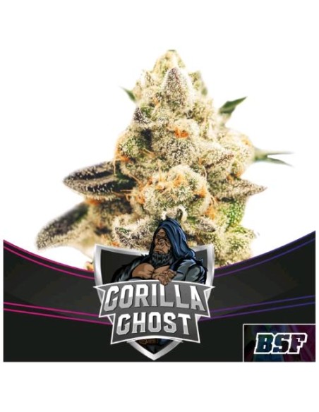 BSF - Gorilla Ghost - fem - 4 semi