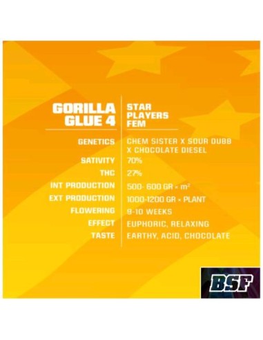 BSF - Gorilla Glue 4  fem - 7 semi
