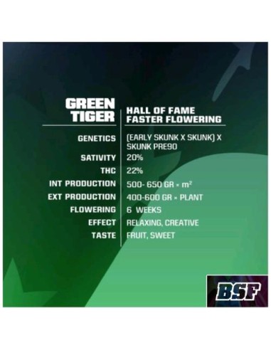 BSF - Green Tiger Fast  fem - 2 semi