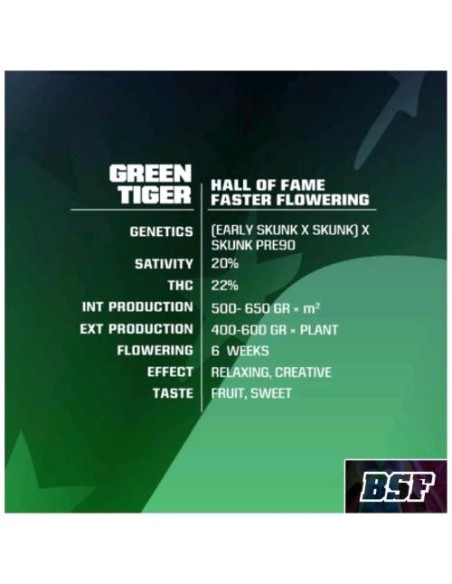 BSF - Green Tiger Fast  fem - 4 semi