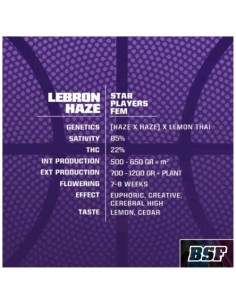 BSF - Lebron Haze fem - 4 semi 2