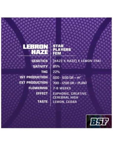BSF - Lebron Haze fem - 4 semi