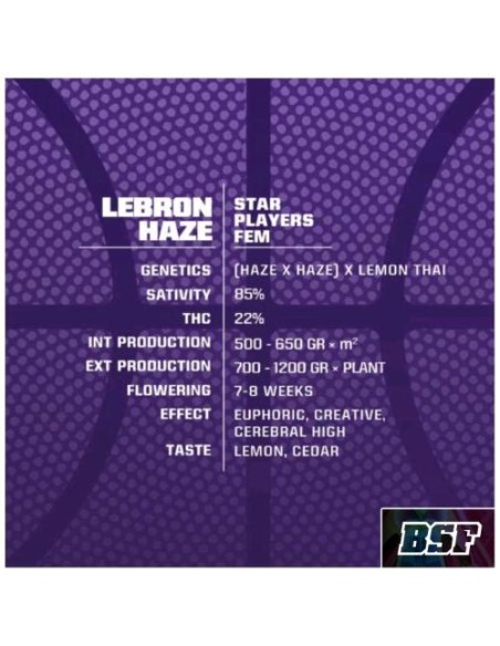 BSF - Lebron Haze fem - 7 semi