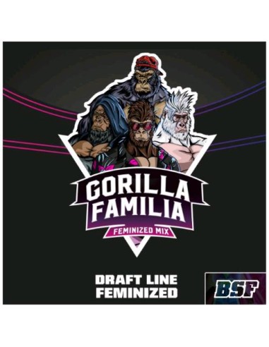 BSF - Mix Gorilla Familia fem - Pack 12 semi