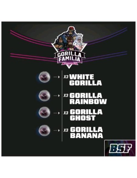 BSF - Mix Gorilla Familia fem - Pack 12 semi