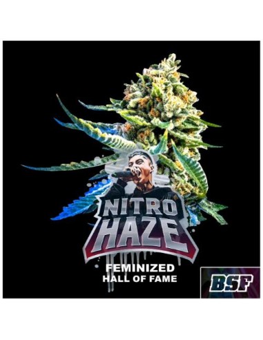 BSF - Nitro haze fem - 4 semi