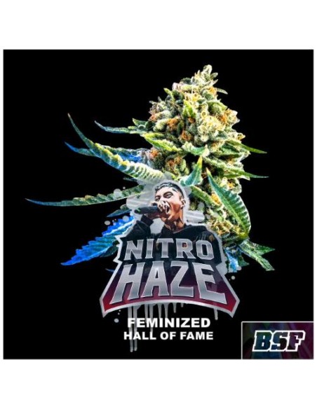 BSF - Nitro haze fem - 4 semi