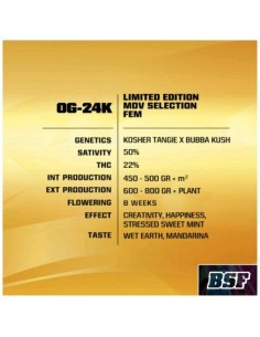 BSF - OG  24K fem - Limited Edition Pack 10 semi 2