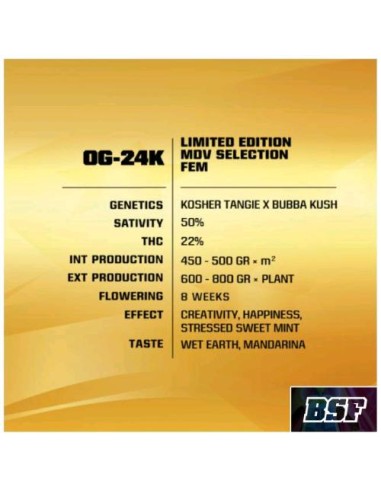 BSF - OG  24K fem - Limited Edition Pack 10 semi