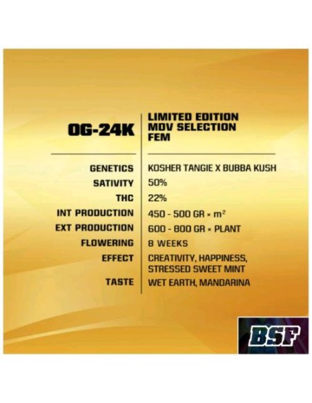 BSF - OG  24K fem - Limited Edition Pack 10 semi