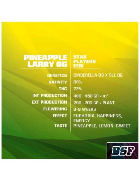 BSF Pineapple Larry OG Fem 4 semi