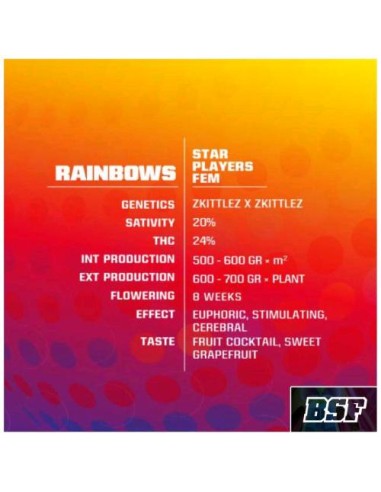 BSF Rainbows Fem 2 semi
