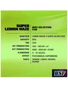 BSF - SLH Fem - 2  semi 2