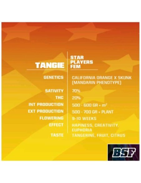 BSF Tangie Fem 2 semi