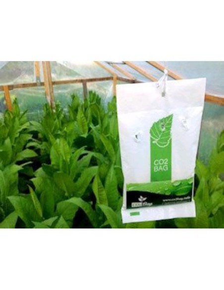 CO2 Bag - Busta per Rilascio di Anidride Carbonica