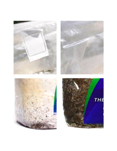 CO2 Exhale XL - Sistema naturale per Rilascio di Anidride Carbonica