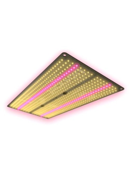 The Jungle The Jackson Nemesis Dimmerabile 200W