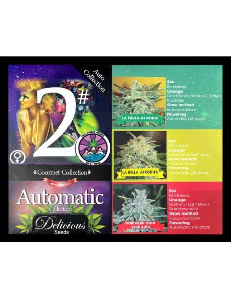Delicious Seeds Automatic 2 Auto Collection 9 Semi