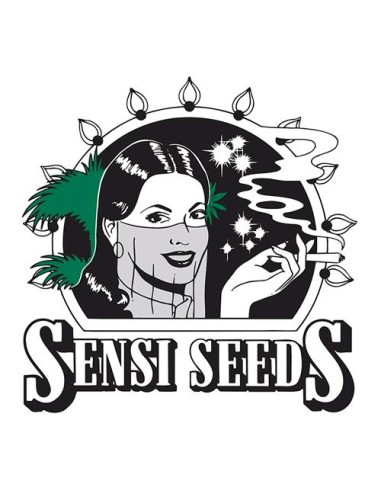 Sensi Seeds - Super Skunk  Regolare - 10 Semi