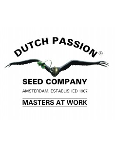 Dutch Passion - White Widow Regolare - 7 Semi 2