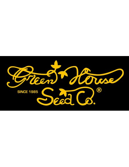 Green House Seeds - Alienz  Femm - 1 Seme