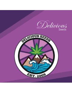 Delicious Seeds Delicious Candy Auto 3 Semi 2