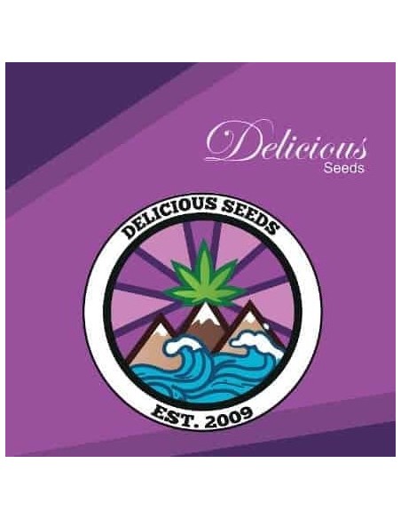 Delicious Seeds Descojack Fem 3 Semi