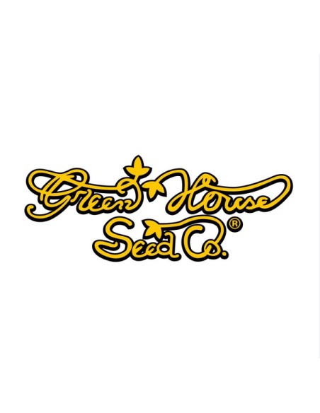Green House Seeds - Sweet Mango Auto - 10 Semi