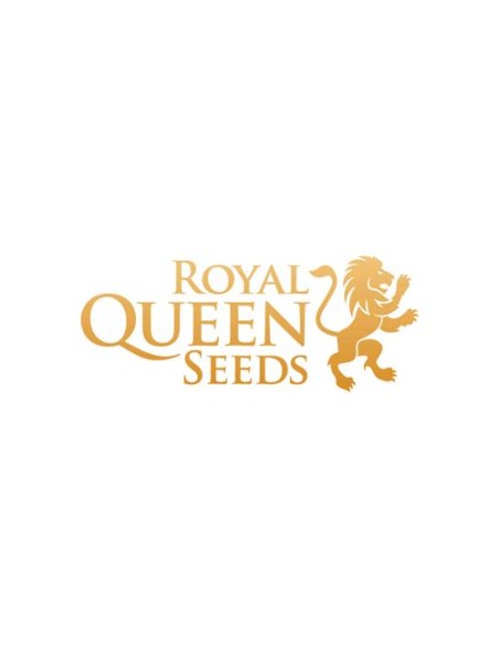 Royal Queen Seeds - Skunk XL Fem - 3 Semi