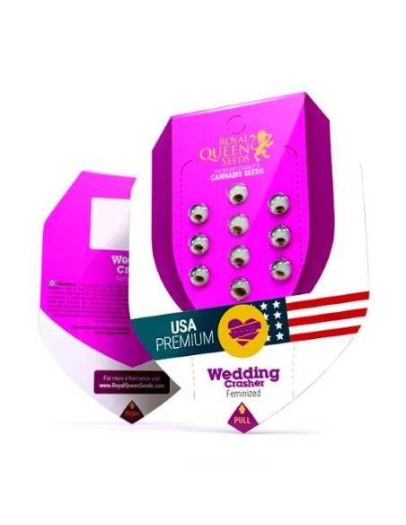 Royal Queen Seeds - Wedding Crasher Fem - 3 Semi USA Premium