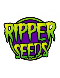 Ripper Seeds - Brain Cake - 1 seme 2