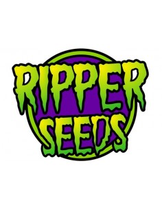 RIPPER SEEDS - BADAZZ - 1 SEME FEMM 2