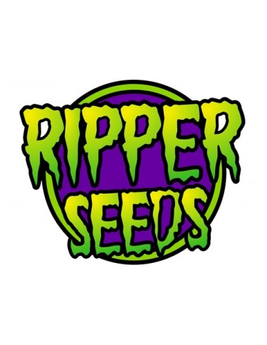 RIPPER SEEDS - RIPPER HAZE - 1 SEME FEM