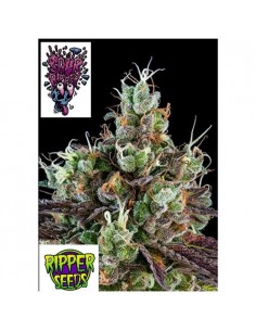 Ripper Seeds - Sour Ripper - 3 semi