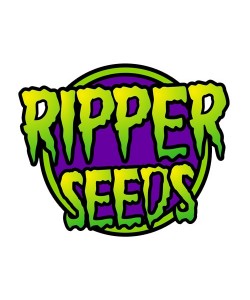 Ripper Seeds - Zombie Bride - 3 semi 2