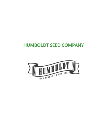 Humboldt Seed Company - All Gas OG - Fem 3 Semi