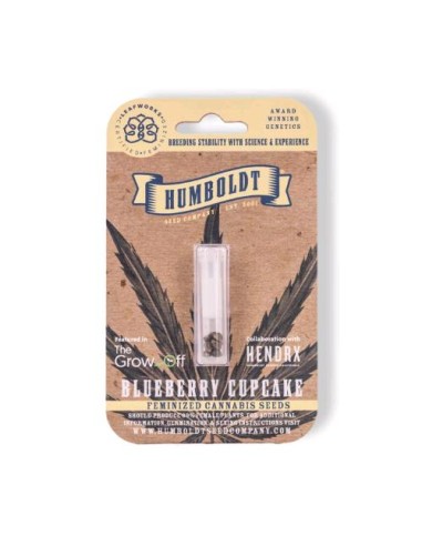 Humboldt Seed Company - Blueberry Cupcake - 5 Semi