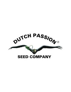 Dutch Passion - Frisian Dew - 5 Semi Femm 2