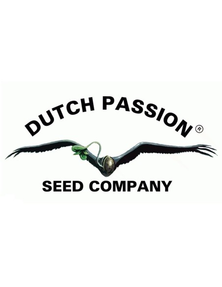 Dutch Passion - Passion Fruit - 5 Semi Fem