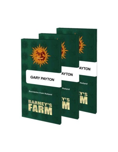 Barney's Farm - Gary Payton - 10 Semi Fem