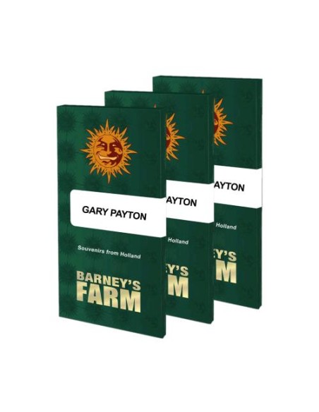 Barney's Farm - Gary Payton - 10 Semi Fem