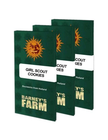 Barney's Farm - Girl Scout Cookies - 3 Semi Fem