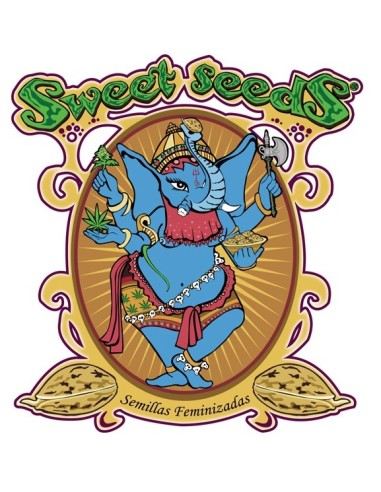 Sweet Seeds - Black Jack Fem - 3 Semi + 1 Gratis