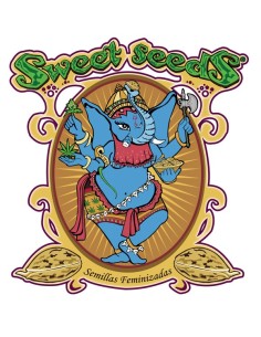 Sweet Seeds - S.A.D Sweet Afgani Delicious CBD Fem - 3 Semi + 1 Gratis 2