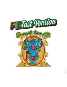 Sweet Seeds - Black Muffin Fem - F1 Fast Version - 3 Semi + 1 Gratis 2
