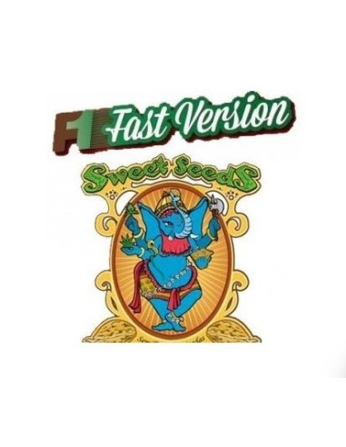 Sweet Seeds - Black Muffin Fem - F1 Fast...