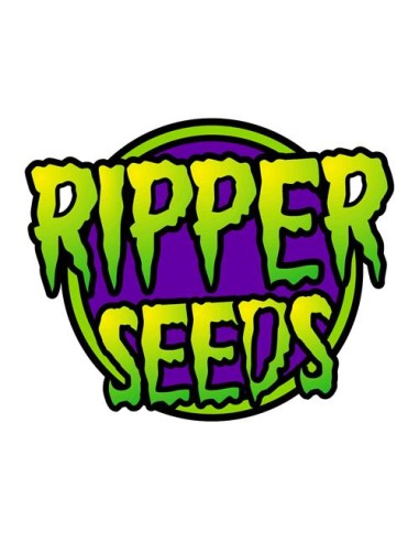 Ripper Seeds - Kroma  Fem - 1 Seme